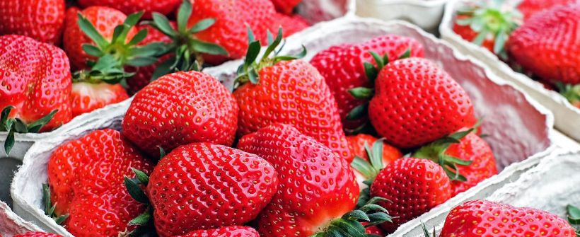 imagen banner dietas sin productos milagrosos